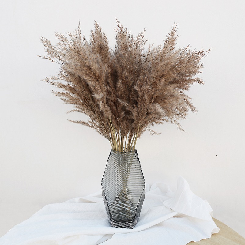 10 szt. Kolorowe Naturalne Trz – Pampas Grass Decor recenzja i cena
